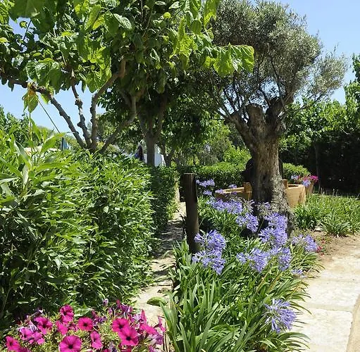 אתר קמפינג Del Mar 4*